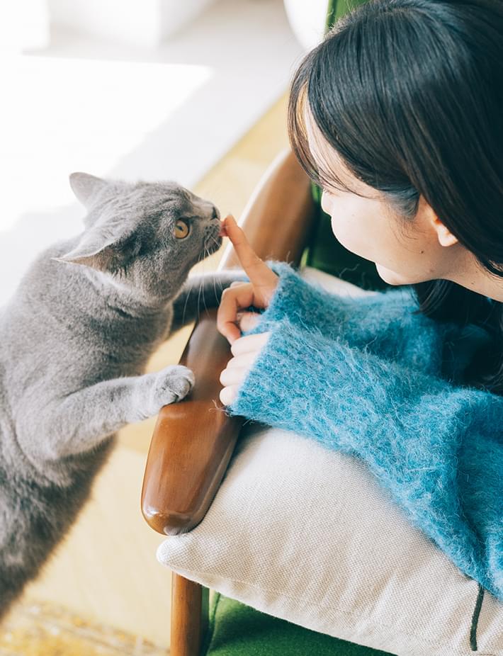 水谷動物病院